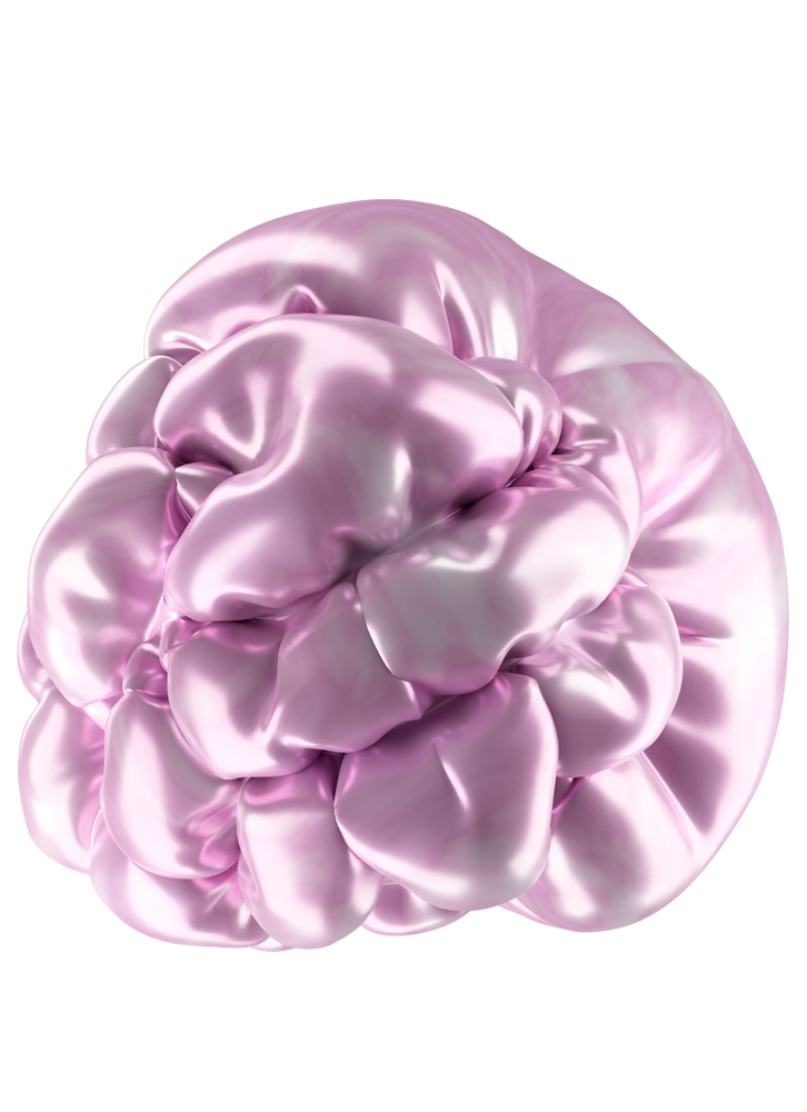 Cerebro 5