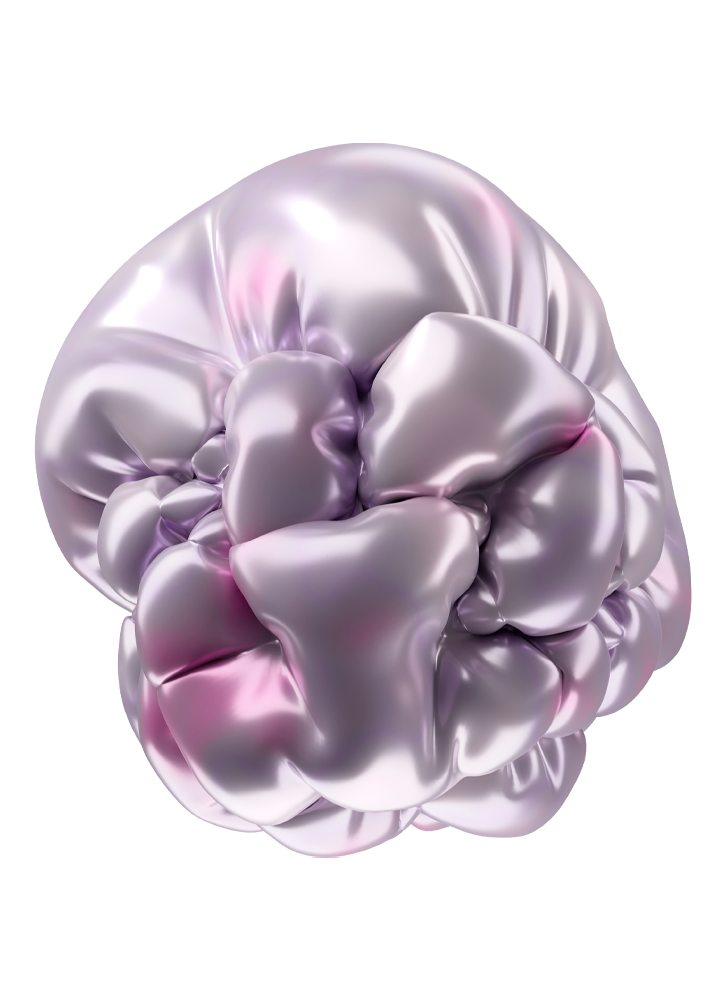 Cerebro 4